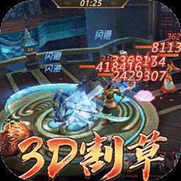 真赵云无双